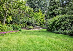 Optimiser l'expérience du jardin à Bourbonne-les-Bains